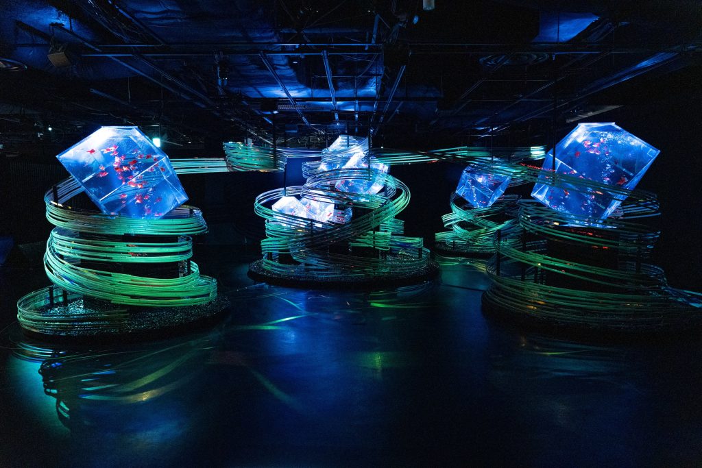 「夏のアートアクアリウム2025」館内の様子