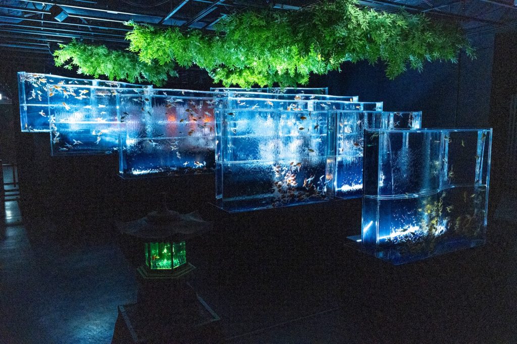 「夏のアートアクアリウム2025」館内の様子