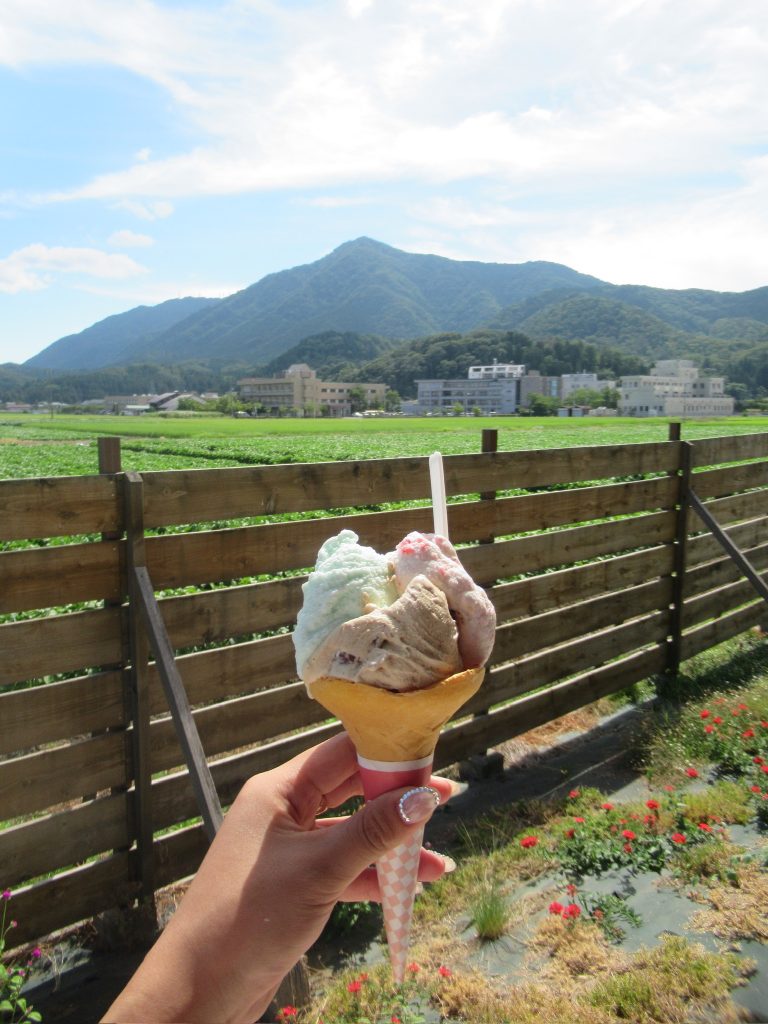 田んぼとジェラート