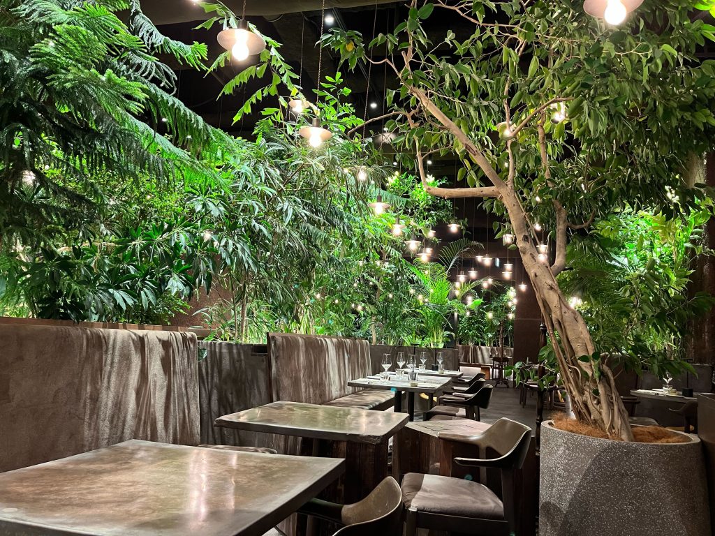 緑に囲まれたテーブル席