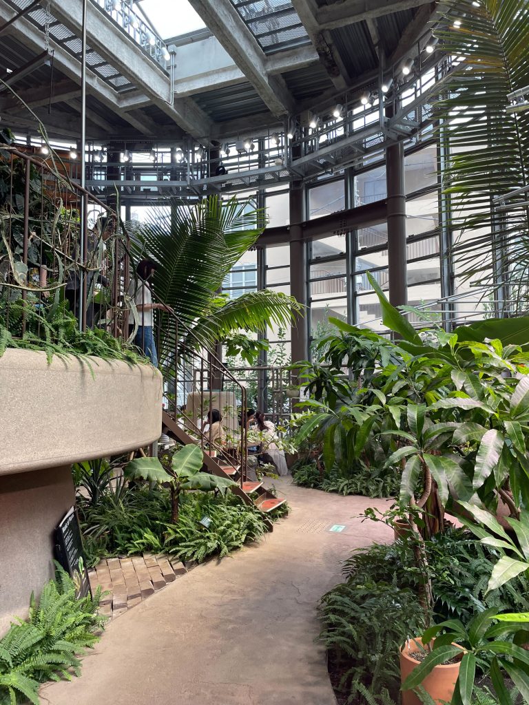 渋谷区ふれあい植物センターの店内