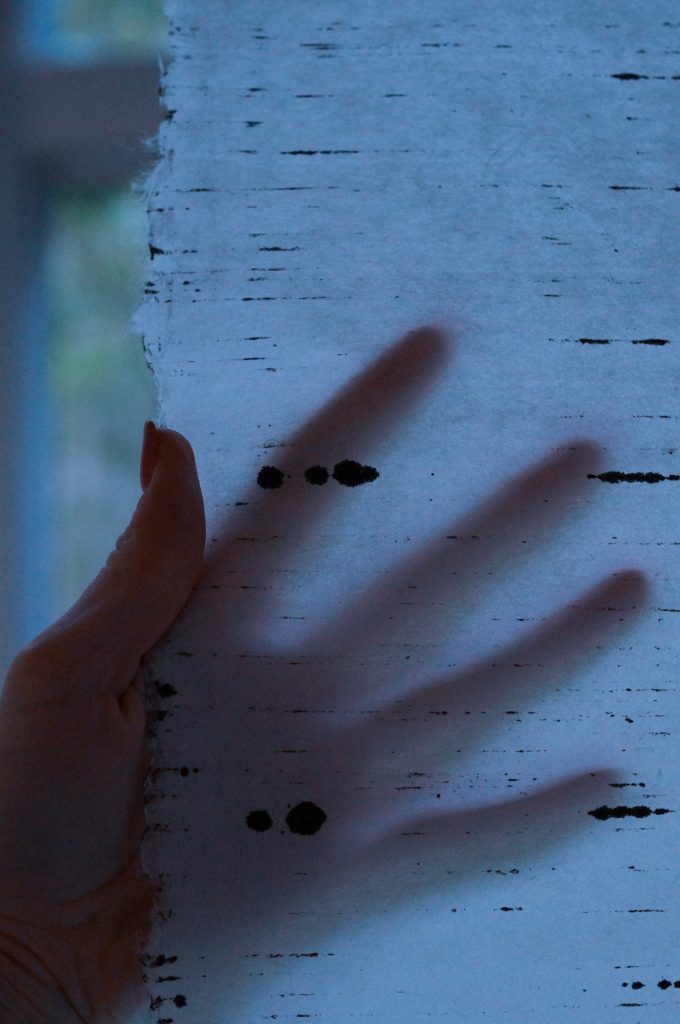 パリ発 現代アートの祭典「ニュイ・ブランシュKYOTO in Residence」イメージビジュアル