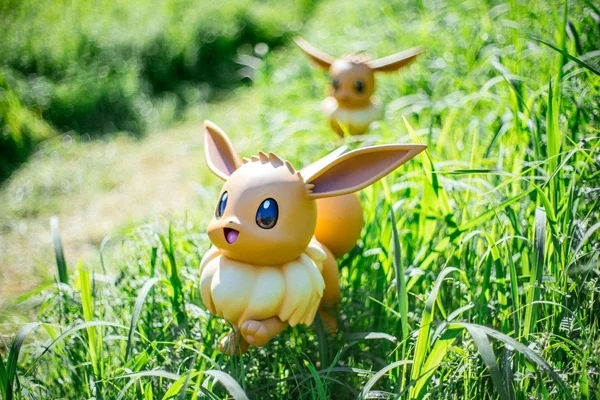 ポケモンフォレストにいるポケモン