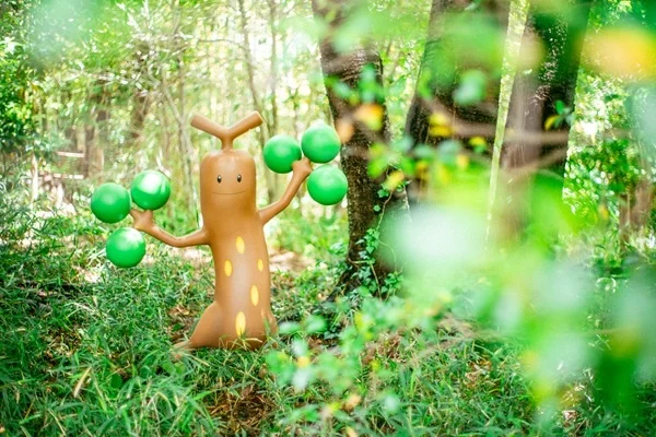 ポケモンフォレストにいるポケモン