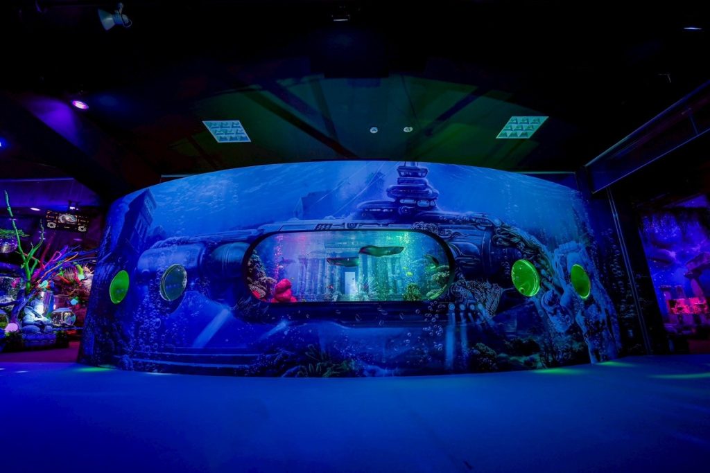 ひらかたパークのスポット新感覚アクアリウム「プラネットアクア・ポート」の様子