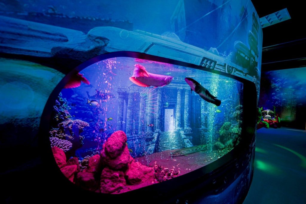 ひらかたパークのスポット新感覚アクアリウム「プラネットアクア・ポート」の様子