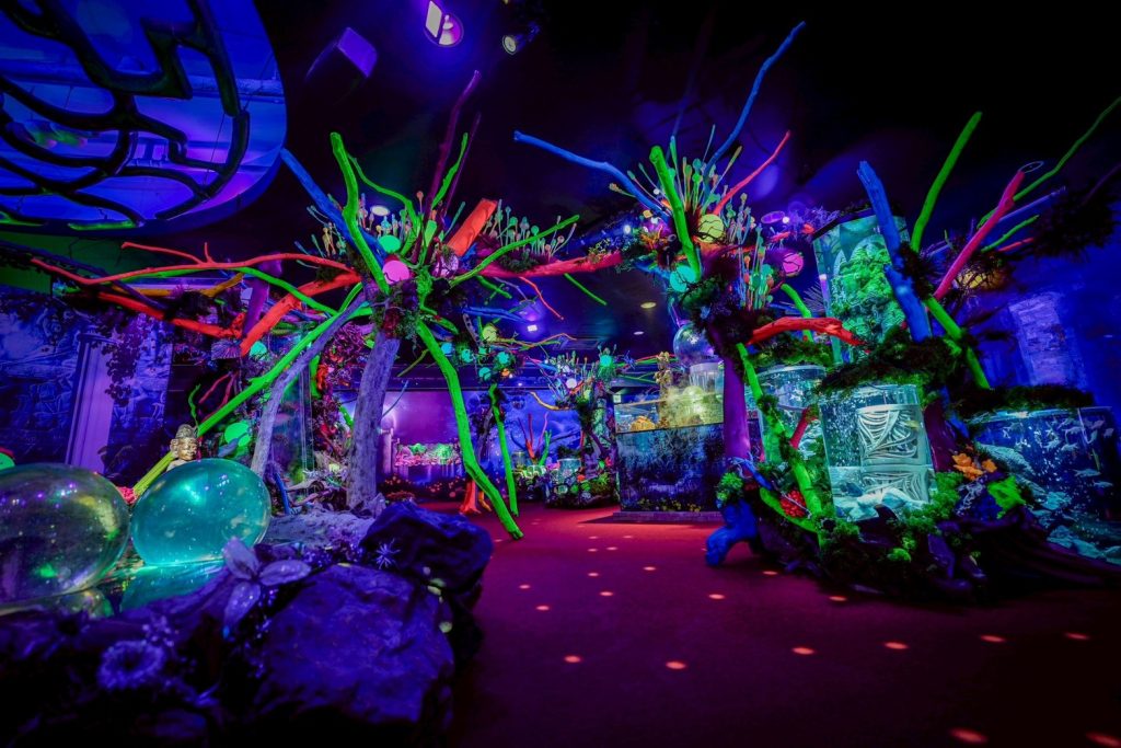 ひらかたパークのスポット新感覚アクアリウム「プラネットアクア・ポート」の様子