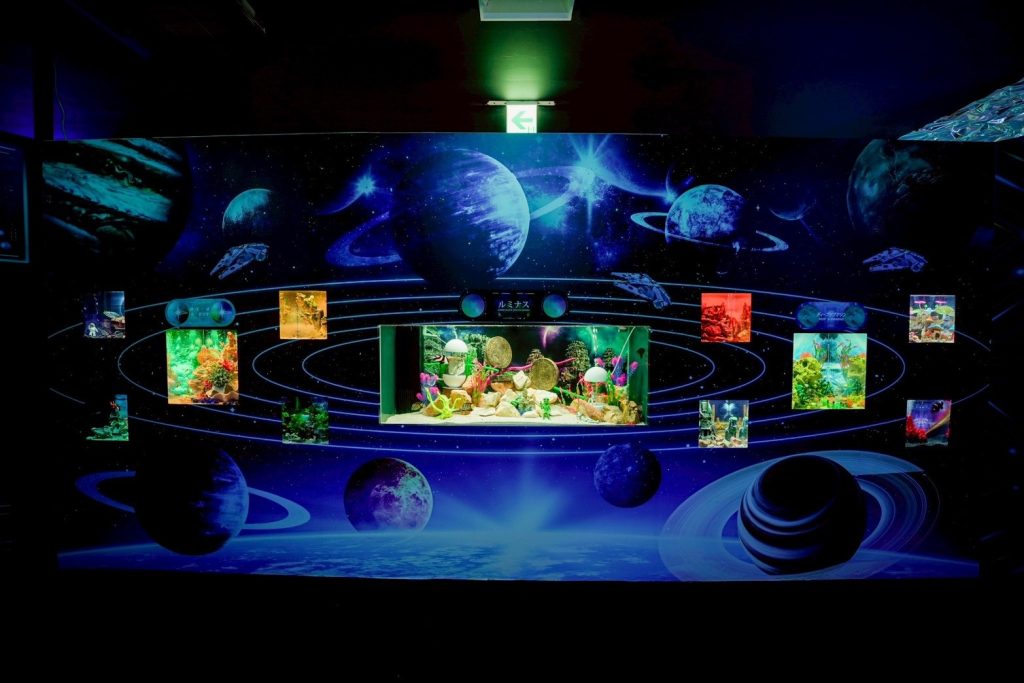 ひらかたパークのスポット新感覚アクアリウム「プラネットアクア・ポート」の様子