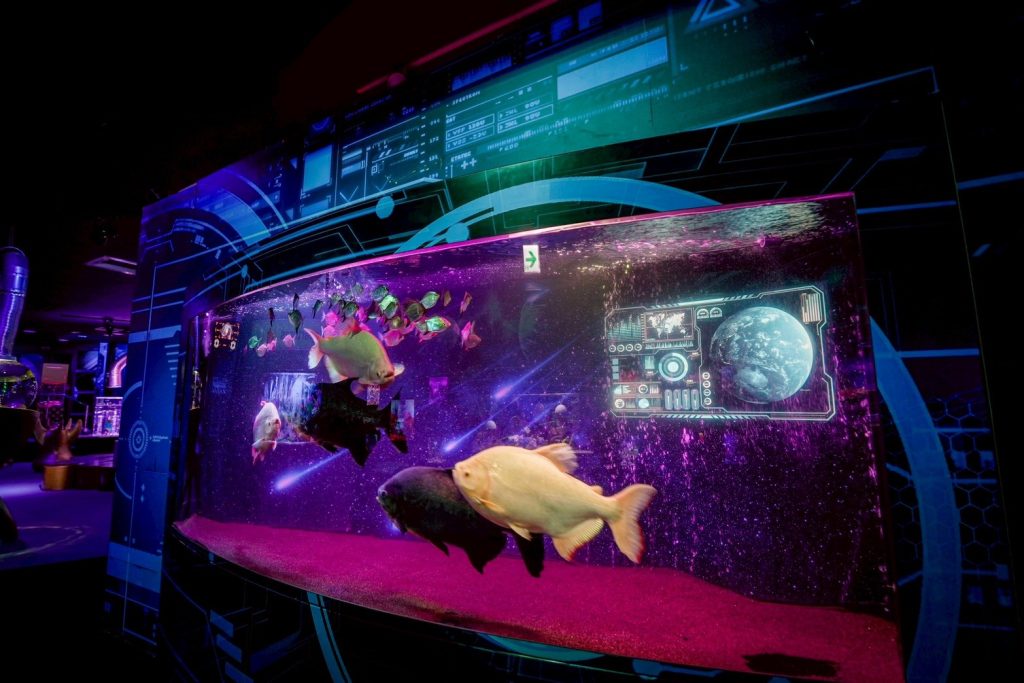 ひらかたパークのスポット新感覚アクアリウム「プラネットアクア・ポート」の様子