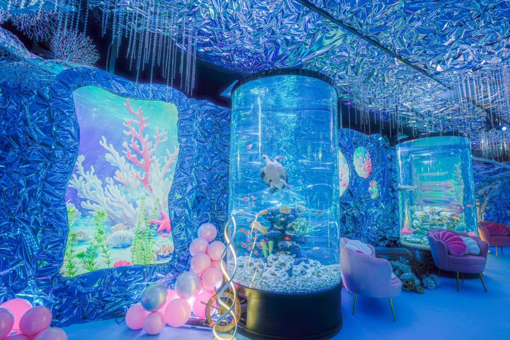 ひらかたパークのスポット新感覚アクアリウム「プラネットアクア・ポート」の様子