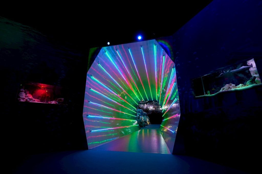 ひらかたパークのスポット新感覚アクアリウム「プラネットアクア・ポート」の様子