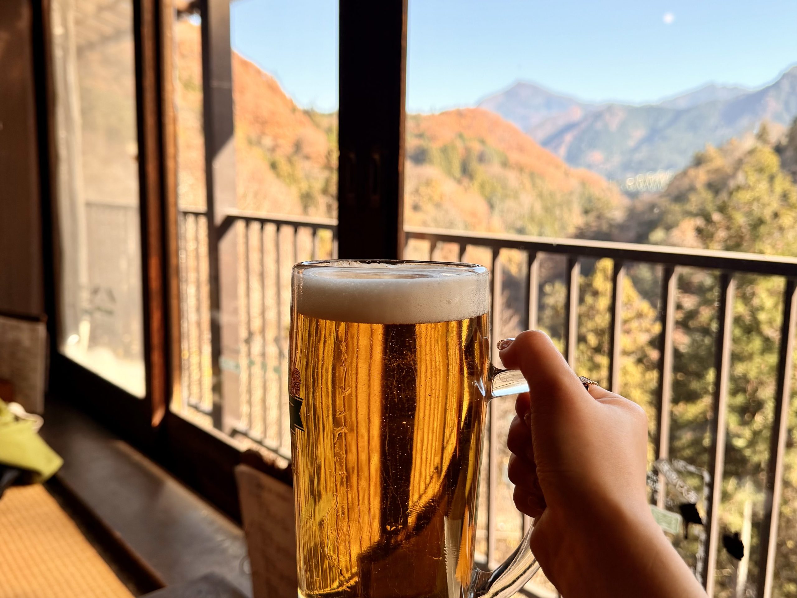 ビールジョッキと景色