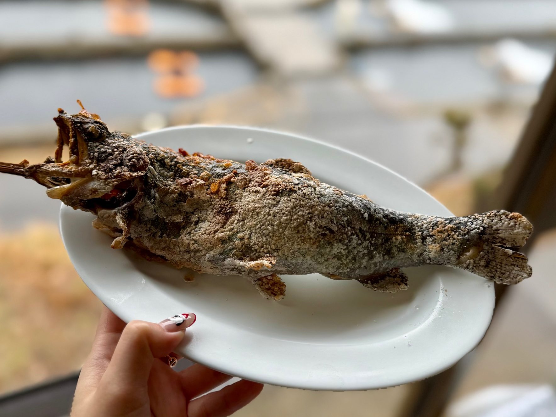 ヤシオマスの塩焼き