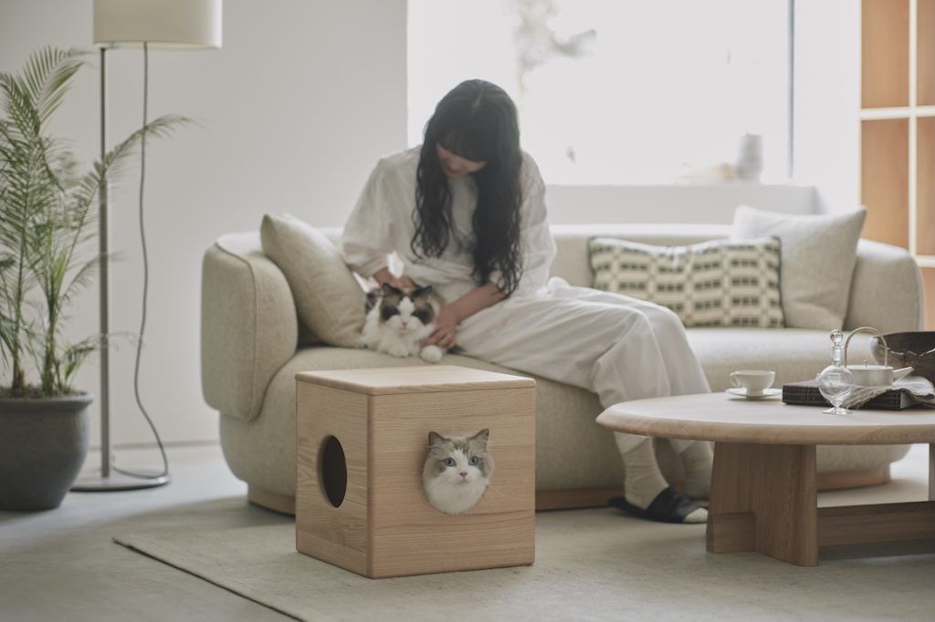 THE CAT’S ISSUE FES 2026 出展内容イメージ