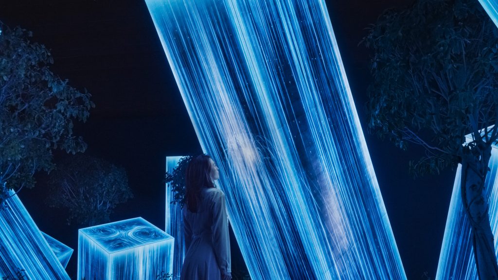 チームラボ《Megaliths in the Roots Garden》© チームラボ