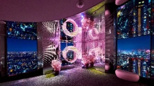 さくらまつりの雰囲気