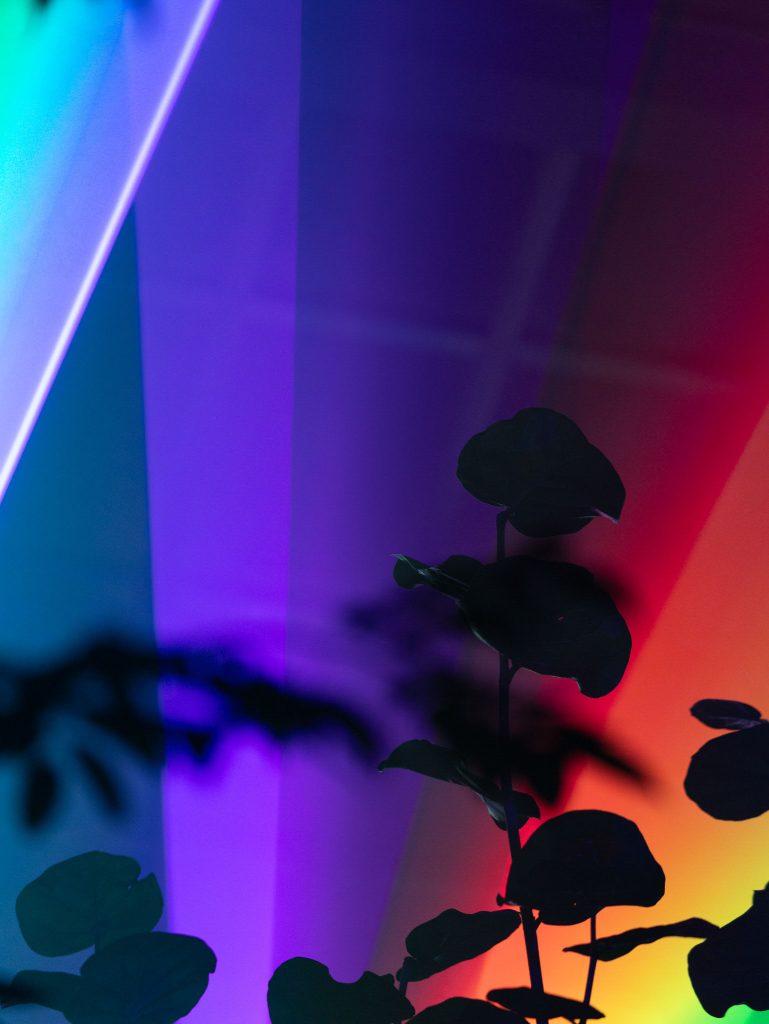 「THE ROOM OF (IN) SCENTS」イメージビジュアル