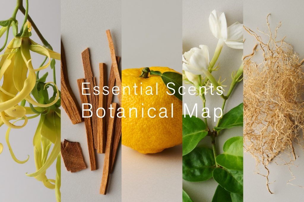 「THE ROOM OF (IN) SCENTS」イメージビジュアル