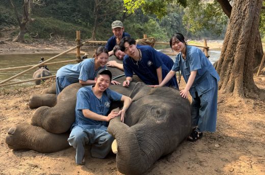 象と戯れる川本チーム