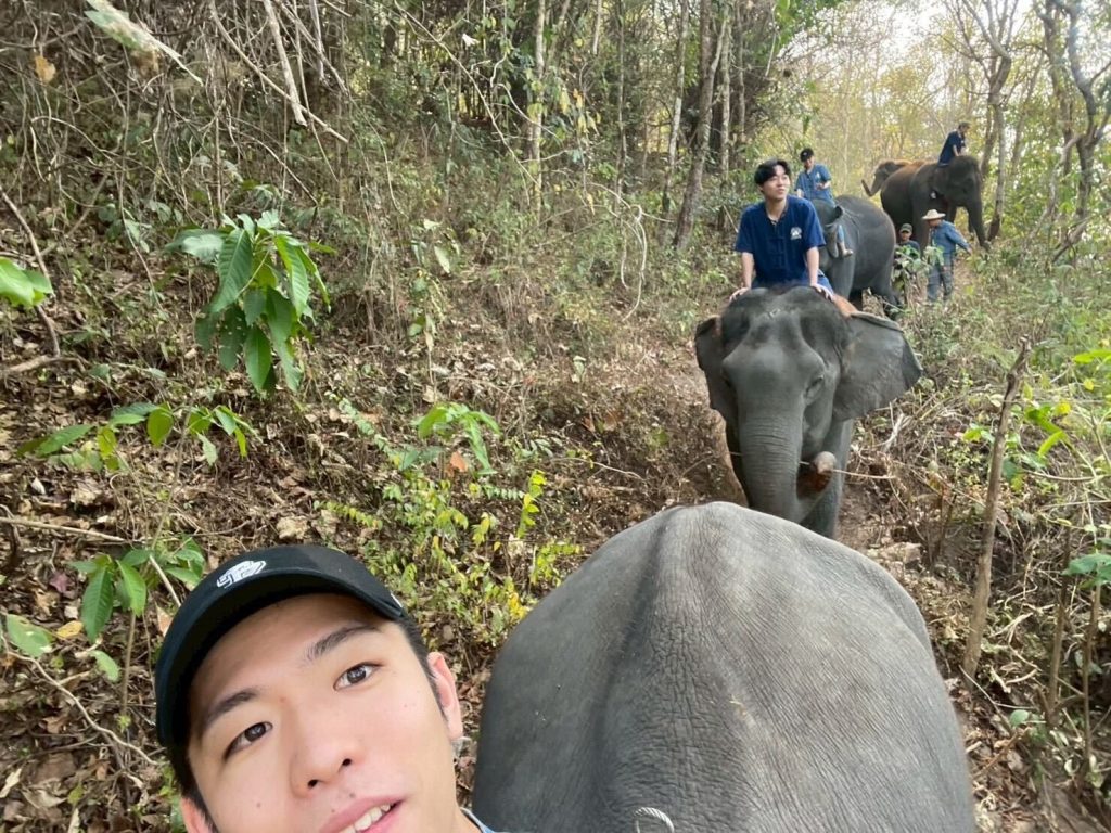 みんなで象乗りの様子