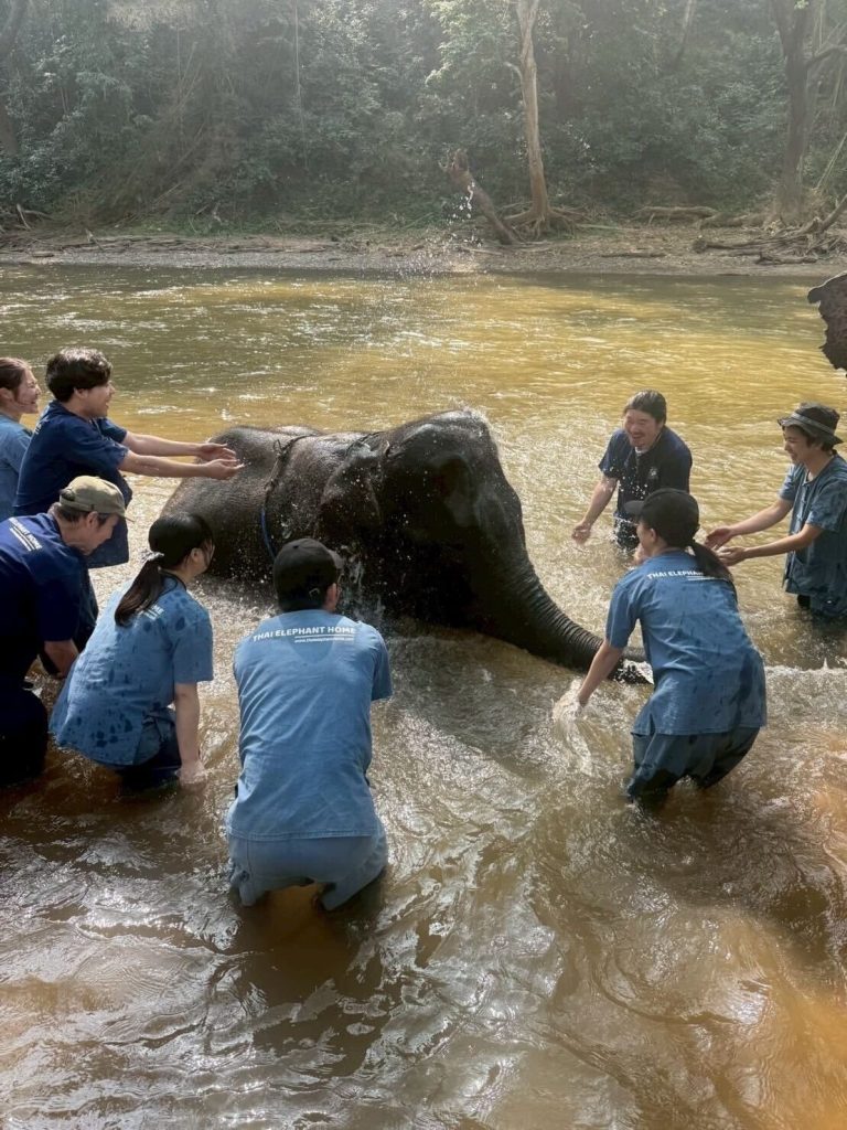 象とみんなで川に入っている様子