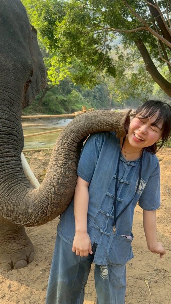 象がキスしている様子
