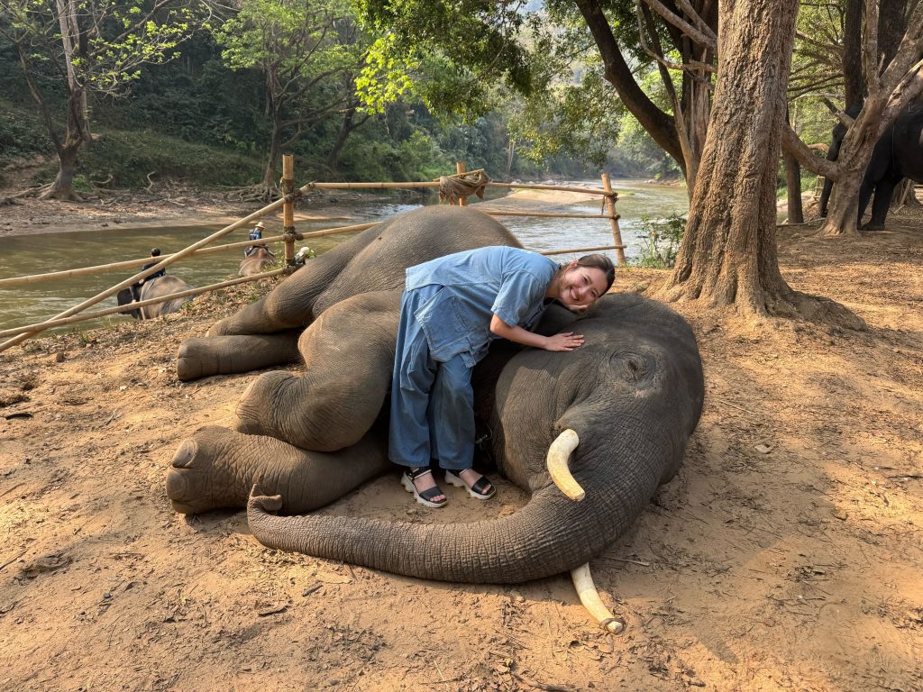 寝ころんでいる象と2ショット