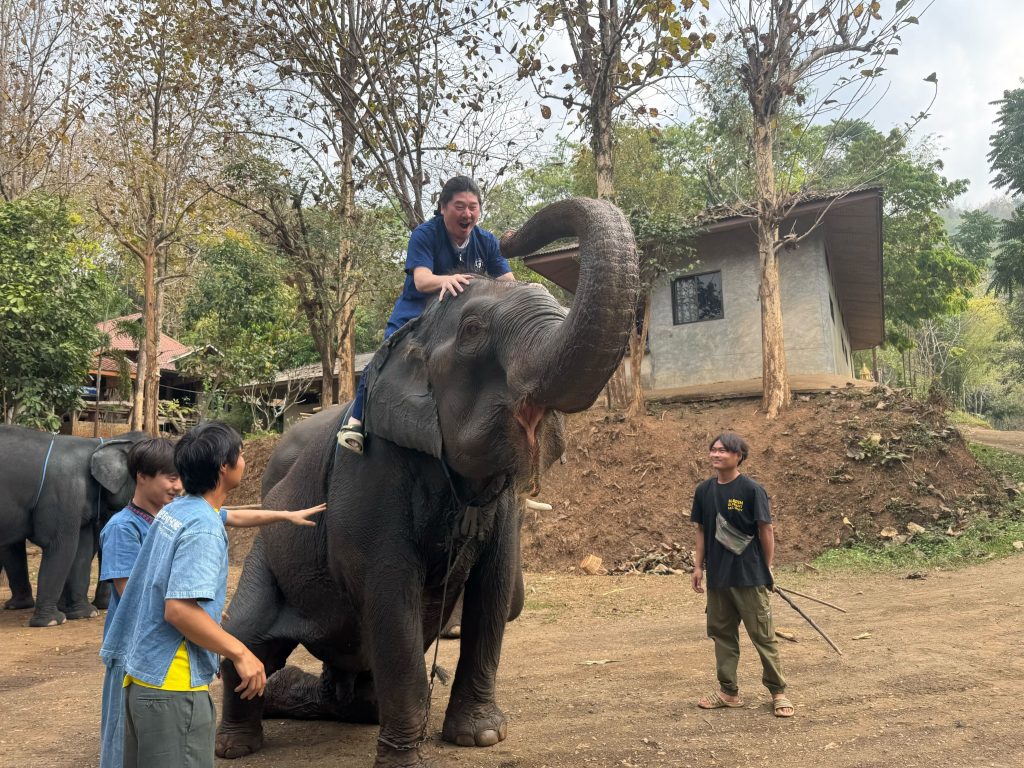 象に乗っている様子