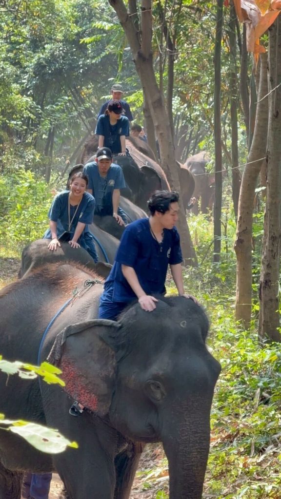 象に乗ってみんな1列に進んでいる様子