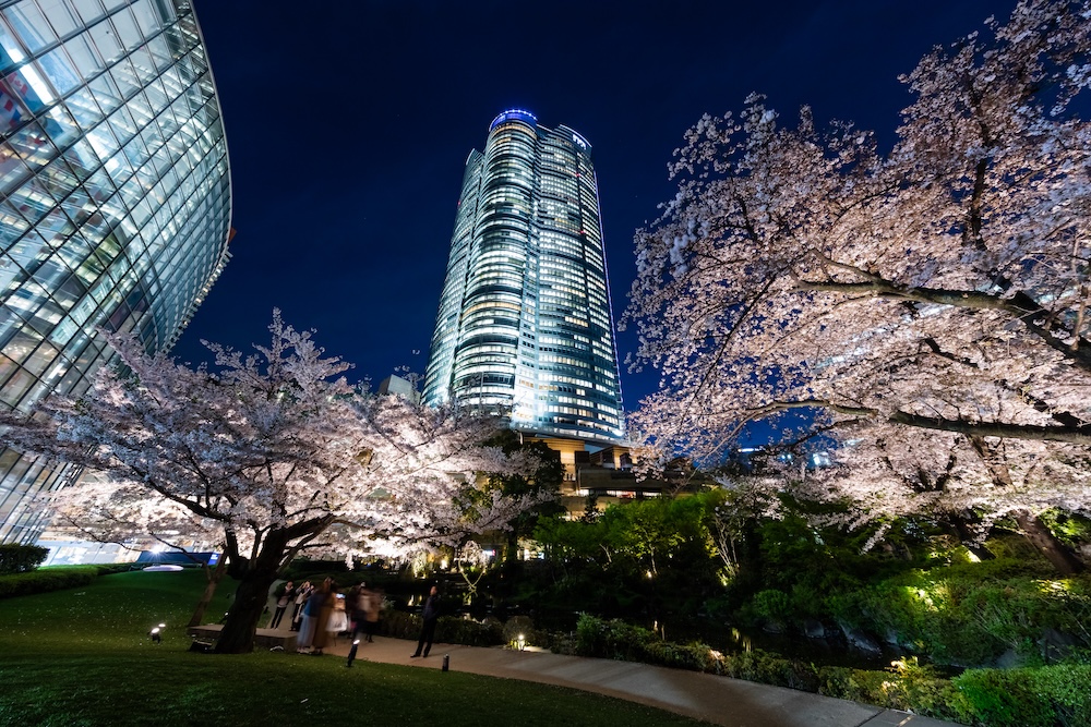 桜と六本木ヒルズ