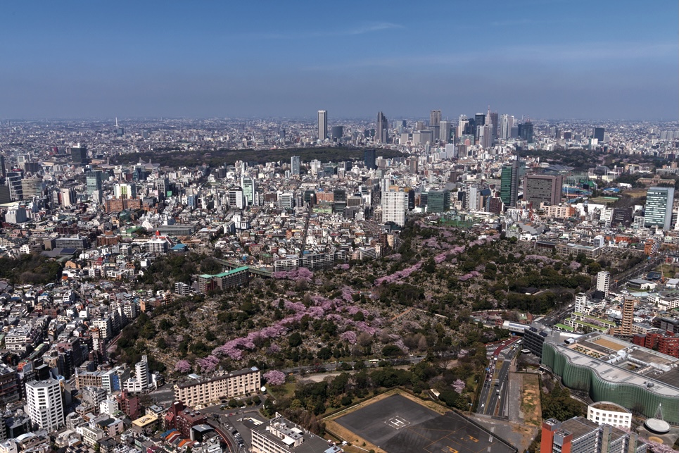 上空からの様子