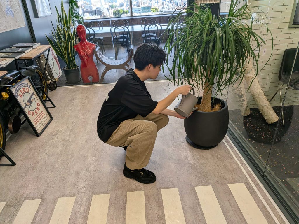 社内の植物に水やりをしているところ
