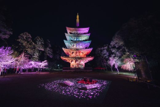 NAKEDが手がける世界遺産の幻想的すぎる夜桜×アート体験。 | 株式会社