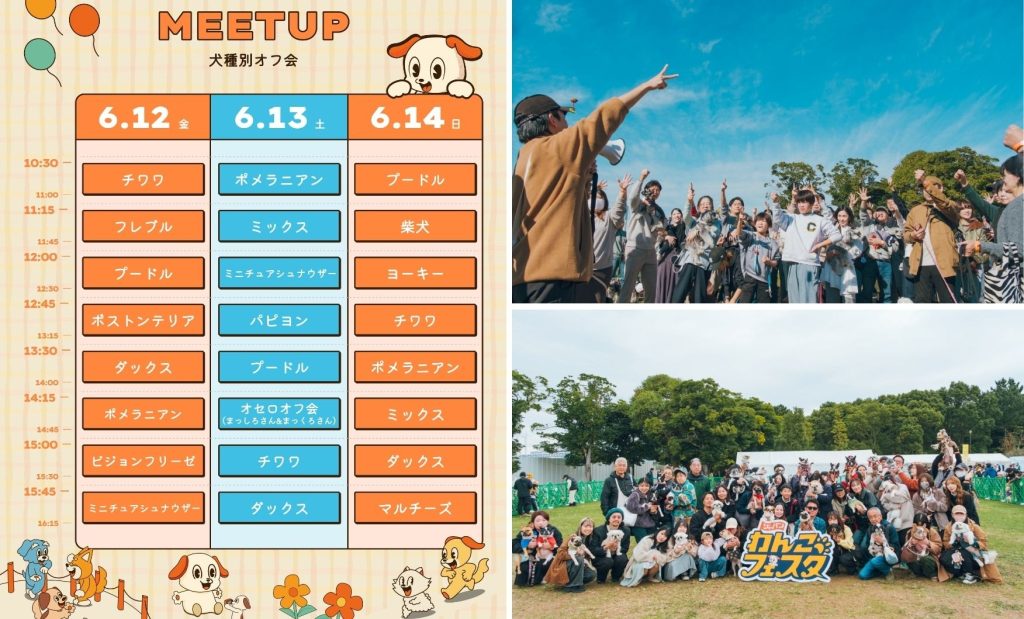 「ジャパンわんこフェスタ 2026 in お台場」コンテンツ