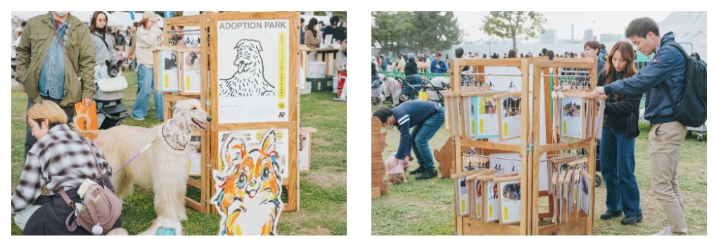 「ジャパンわんこフェスタ 2026 in お台場」掲示板を使った譲渡会「Adoption Park Board」