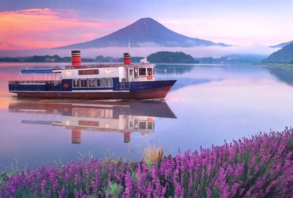 富士山と湖の藤の花